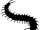Centipede