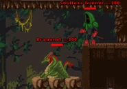 A Dragonet and a Soulless Gunner at the last part of the dungeon