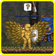 FAQ’s for Beginners