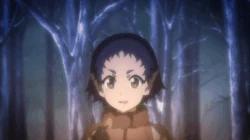 Noble Fencer's Party