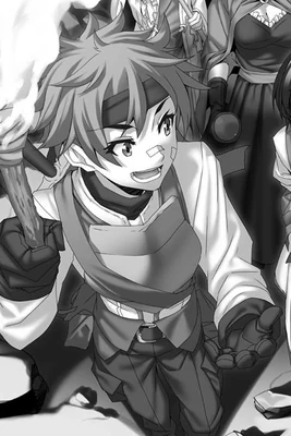 Light Novel