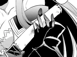  paid by Goblin Slayer to set the destination of the Gate Scroll