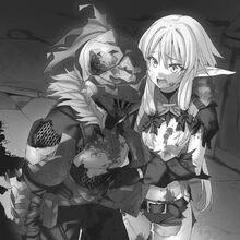 Light Novel Volume 2 Illustrations Goblin Slayer Wiki Fandom Goblin slayer, armored, fantasy art, artwork, weapon. light novel volume 2 illustrations