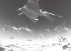 The Sand Manta are Running