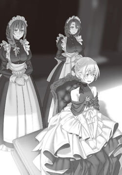 Light Novel Volume 16, Goblin Slayer Wiki