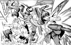 Fighter's impressive skills