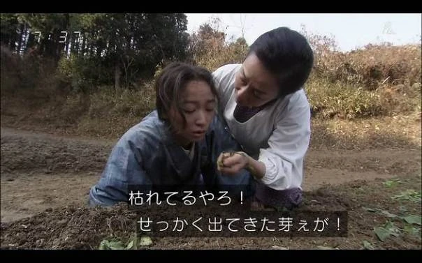 第２２週 い草の味 ごちそうさん Wiki Fandom