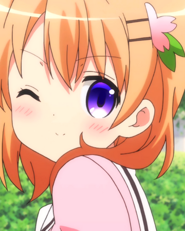 Cocoa Hoto Is The Order A Rabbit Wiki Fandom Cocoa Hoto Is The Order A Rabbit Wiki Fandom