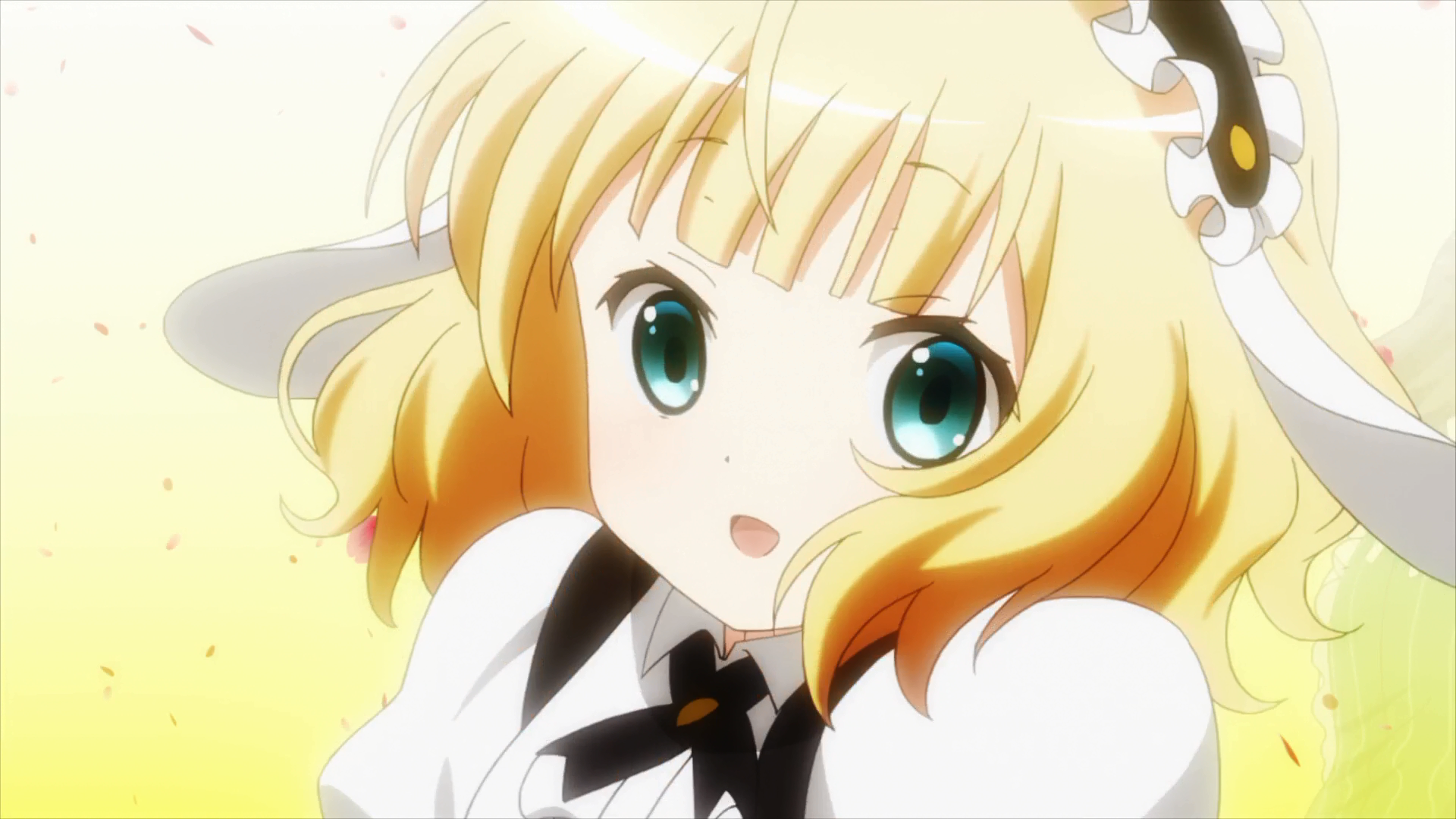 Syaro Kirima, Is the Order a Rabbit? Wiki