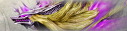 GE2RB Banner