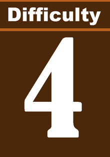 D4.png