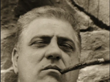 Luca Brasi
