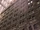 Wall Street