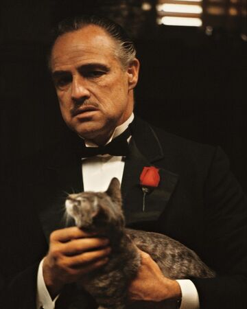 the godfather wiki fandom