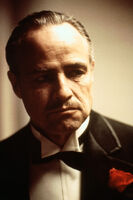 Marlon Brando as Vito