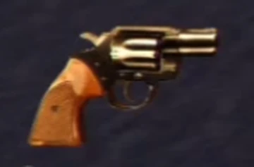 snub nose 38 pistolera
