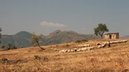 Typical Sicilian landscape.