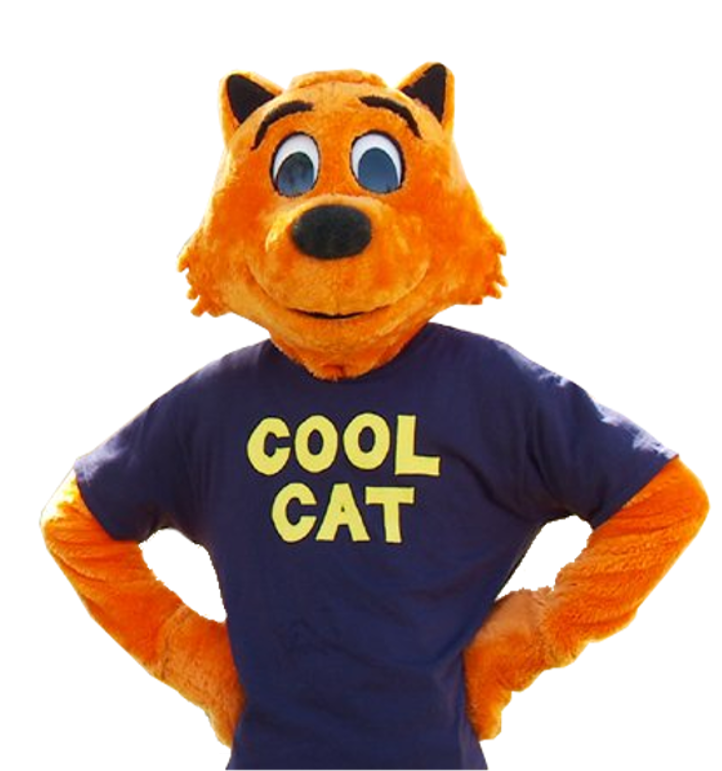 that kid kicked sand in cool cat