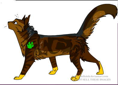 Ravenpaw by weak-punk on DeviantArt  Warrior cats art, Warrior cats books, Warrior  cats series