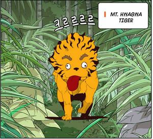 MT.Hwagwa Tiger