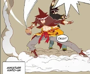 mini being used to fly