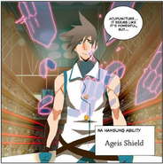 Aegis Shield