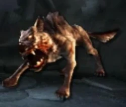 por qué atticus mató al perro rabioso