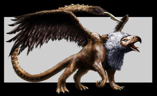 Grifo