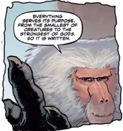 Thoth in his baboon form.