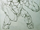 StoneAncient-CodexSketch.png