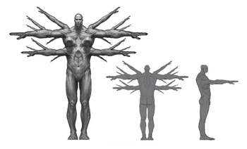 Perfiles de Egeón el Hecatónquiro.