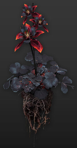 Ashpetal