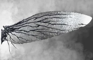 Dark Elf Wing.jpg (459 KB) Wing Art