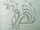 Tatzelwurm-CodexSketch.png