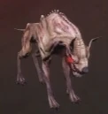 Feral Hound model
