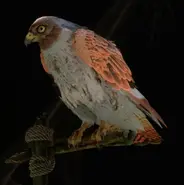 Bsfjhvhsidhfjak.webp (96 KB)