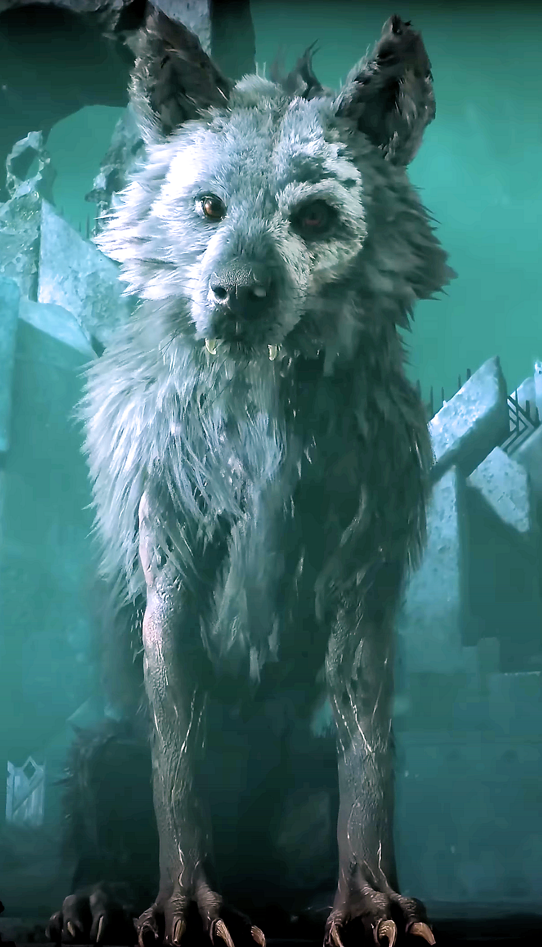  Fenrir Fierce Snarling Wolf in Chains Norse Mythology