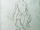 Shadow-CodexSketch.png