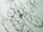 ForestAncient-CodexSketch.png