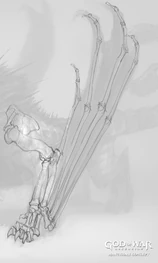 Estructura ósea de la pata de la Mantícora.