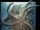 Scylla
