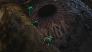 Los parásitos adentrandose en el parpado de Egeón.