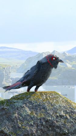 Detail about Odin and his ravens, Huginn and Muninn : r/GodofWar