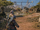 The Plains