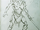Draugr-CodexSketch.png