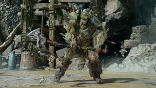 Draugr Pesado