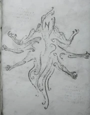 Wight (Codex)