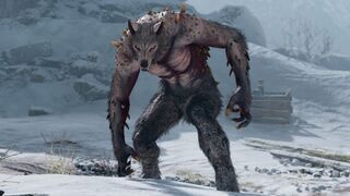 Wulver básico