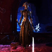 Credits: @MrNeverNeverman