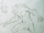 FierceWulver-CodexSketch.png